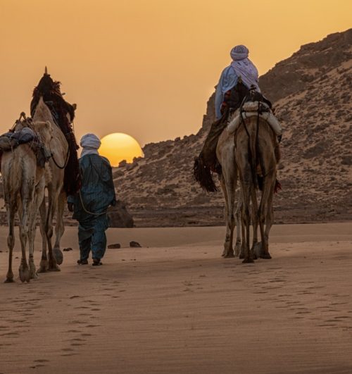 saharaalgerie1